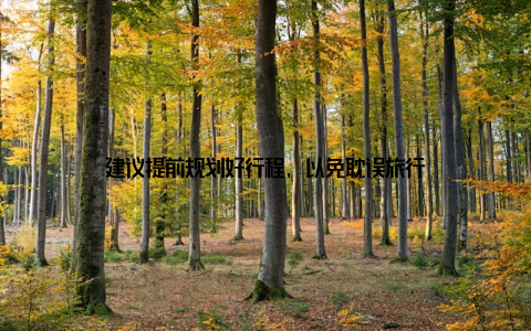 建议提前规划好行程, 以免耽误旅行