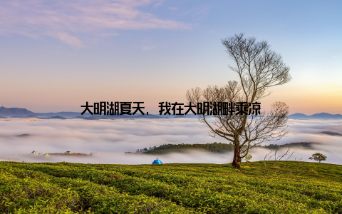 大明湖夏天, 我在大明湖畔乘凉