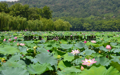 面朝大海, 窗外的风景美得让人陶醉