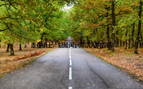 走在街上, 总能闻到那诱人的香味