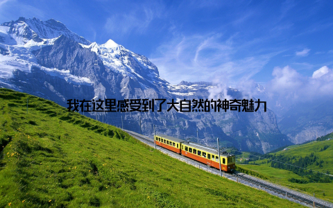 我在这里感受到了大自然的神奇魅力