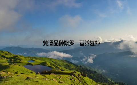 – 炖汤品种繁多, 营养滋补