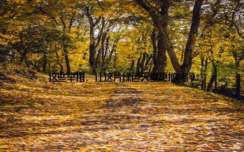 这些举措, 让这片绿色天堂更加纯净