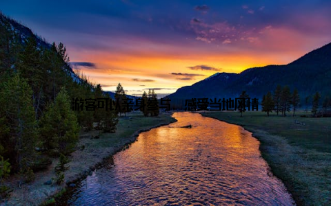 游客可以亲身参与, 感受当地风情