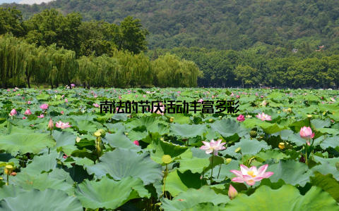 南法的节庆活动丰富多彩