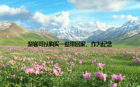 游客可以购买一些带回家, 作为纪念