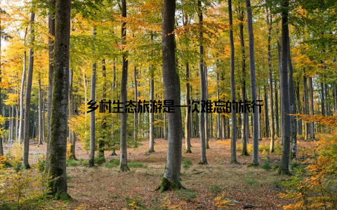 , 乡村生态旅游是一次难忘的旅行