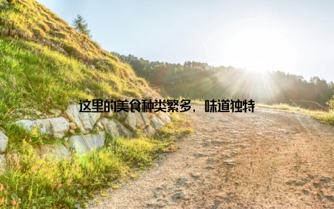 这里的美食种类繁多, 味道独特