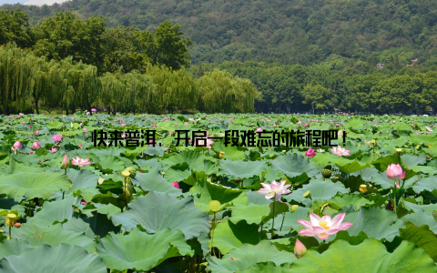 快来普洱, 开启一段难忘的旅程吧!