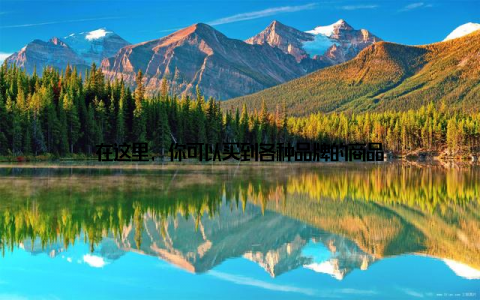 在这里, 你可以买到各种品牌的商品