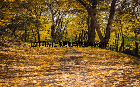 这样可以让你更加畅快地享受旅行