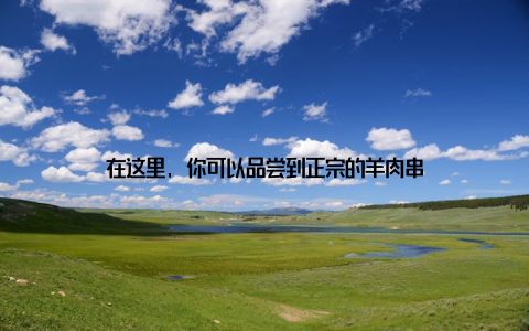 在这里, 你可以品尝到正宗的羊肉串