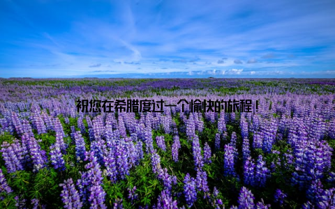 祝您在希腊度过一个愉快的旅程!