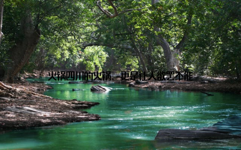 火锅四川的火锅, 更是让人欲罢不能