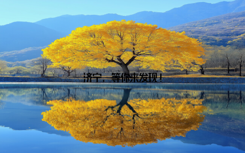 济宁, 等你来发现!