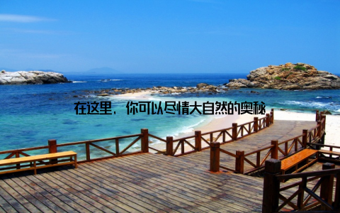 在这里, 你可以尽情大自然的奥秘