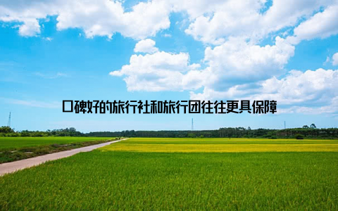 口碑好的旅行社和旅行团往往更具保障