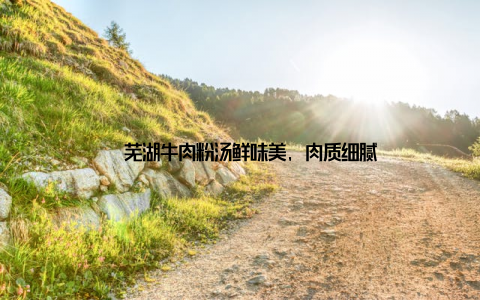 – 芜湖牛肉粉汤鲜味美, 肉质细腻