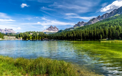 镜头选择根据拍摄需求选择合适的镜头