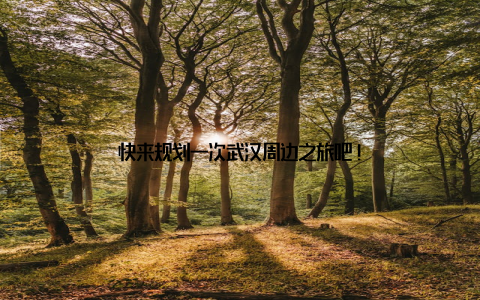 快来规划一次武汉周边之旅吧!