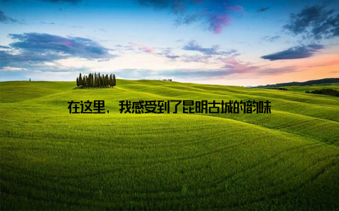 在这里, 我感受到了昆明古城的韵味