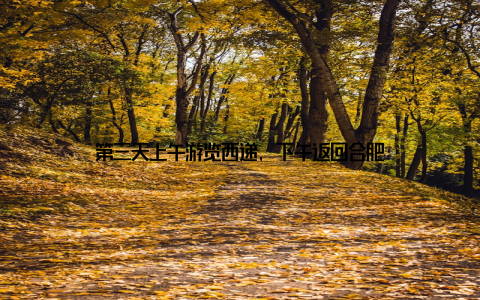 第三天上午游览西递, 下午返回合肥