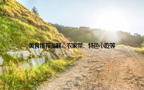 美食推荐海鲜、农家菜、特色小吃等