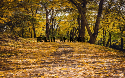 喜洲古镇, 期待你的到来